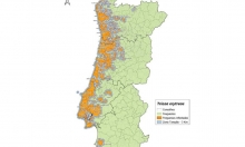 MEDIDAS DE PROTEÇÃO FITOSSANITÁRIA DESTINADAS À ERRADICAÇÃO DE ORGANISMOS DE QUARENTENA