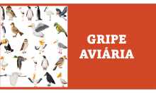 GRIPE DAS AVES