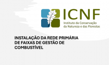 CP21 - Constituição Administrativa da Servidão Administrativa da RPFGC